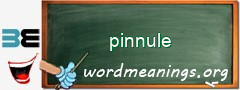 WordMeaning blackboard for pinnule